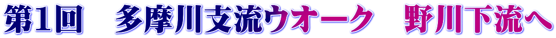 第1回　多摩川支流ウオーク　野川下流へ